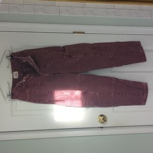 BDG Burgundy Cargo Pants Size 28